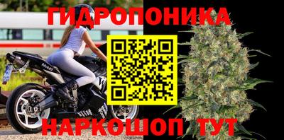 винт Бийск