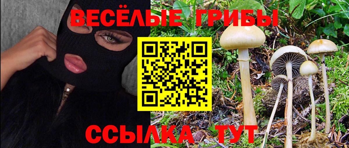 Галлюциногенные грибы MAGIC MUSHROOMS Каспийск